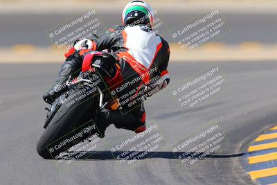 media/Oct-08-2022-SoCal Trackdays (Sat) [[1fc3beec89]]/Turn 11 Backside (1145am)/